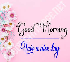 Click to download best images free. Best Free Beautiful Good Morning Hd Image Download Goodnightimge