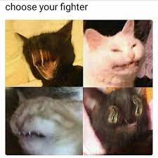 Fastest way to caption a meme. Choose Your Fighter Memes Survey Survey