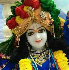 श्री मद् भागवत कथा वाचक पं बलराम शास्त्री जी