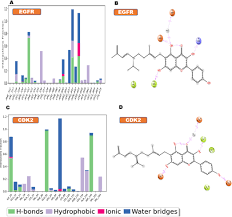 Image result for Macaranga schweinfurthii