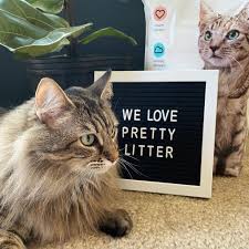Below, please find a comprehensive overview of pretty litter cat litter reviews from actual cat owners to help you determine whether this natural cat litter is worth trying. Pretty Litter Review Must Read This Before Buying
