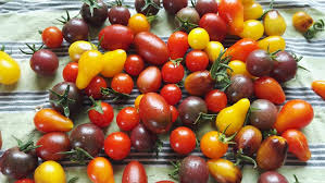 You need 3 of lg jalapeños, seeded and minced. Tomatoes Help Me Find A Taste Explosion Gardening For Beginners Forum At Permies