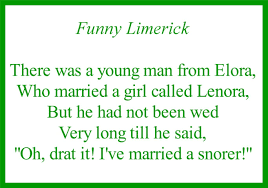 Funny Limerick Limerick Funny Irish Funny Daily Quotes