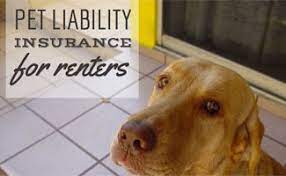 Many landlords think that renters insurance and pets are a good combination, and that the policy would offer the coverage they want the tenant to have. Pet Liability Insurance For Renters Caninejournal Com
