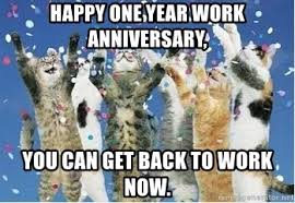 Image result for work anniversary meme. Happy One Year Work Anniversary You Can Get Back To Work Now Party Kittens Meme Generator