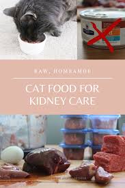 Ckd, or chronic kidney disease, often affects older cats. Raw Homemade Kidney Care Diet For Cats Health Home Happiness
