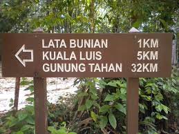 Hutan hujan tropika yang berusia 130 juta tahun. Taman Negara Gunung Tahan Terletak Di Sempadan Antara Negeri Gak Patii