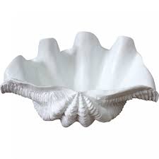 Their shell cannot close completely because of a protruding siphon. Ceramic Clam Shell Bowl Large Daydream Leisure Furniture