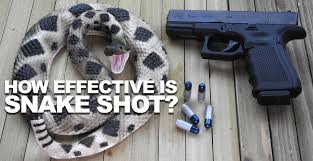 However, there have been rare cases of this type of bullet traveling for up to 100 m. How Effective Is Snake Shot Does It Work
