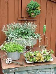 20 Stunning Containers To Show Off Your Plants Container Gardening Garden Containers Plants