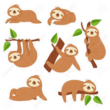 Check spelling or type a new query. Cute Sloths Cartoon Sloth Hanging On Tree Branch Baby Jungle Royalty Free Cliparts Vectors And Stock Illustration Image 109645267