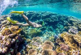 Das habe ich bisher auch nicht erlebt. Prafektur Okinawa Japan Reisen Informationsportal