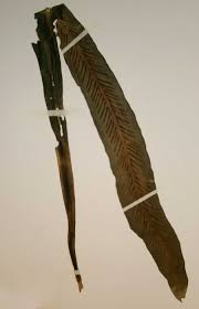 Image result for Asplenium holstii