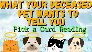 I generally ask if my clients would like to spend a few moments alone with their pets. Signs Your Deceased Pet Is Visiting You How To Cope With Death Youtube