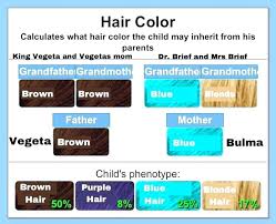 Hair Color Dominance Chart Hair Color Chart Genetics 332933