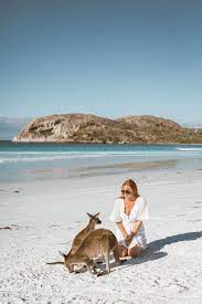 Best Beaches In Esperance Western Australia The Ginger Wanderlust Swimming With Whale Sharks Western Australia Australia