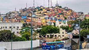 Ceibos, guayaquil opcional trasladose y turismo. Flights To Guayaquil Gye Avianca