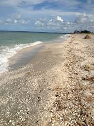 Maybe you would like to learn more about one of these? Turtle Beach Siesta Key Very Special Place For My Family Gulf Coast Florida Beach Places To Travel