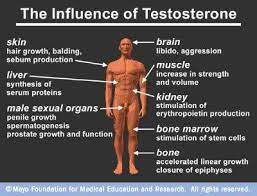 Treatment Klinefelter S Syndrome