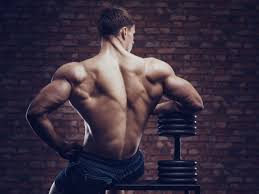 Image result for Shoulder Strength Exercises