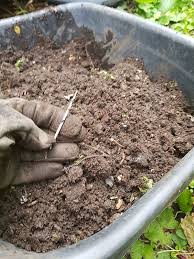 We make it fast, easy & affordable. Compost Bins Can You Really Put Everything Of Organic Origin Into Them Local Food Connect