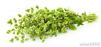Like thyme, rosemary, which is a sturdier herb, will hold up during longer cooking times. What Is A Good Substitute For Thyme With Pictures
