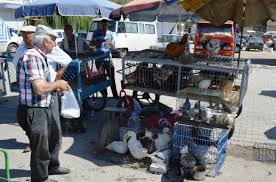Kirmizi Et Artti Beyaz Et Dustu Cubuk Ajans Cubuk Firmalari