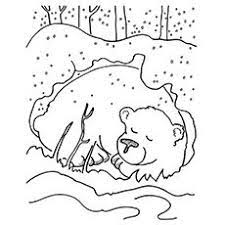 Top 25 Free Printable Winter Coloring Pages Online Bear Coloring Pages Coloring Pages Animals That Hibernate