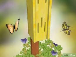 When shopping for a butterfly house, look for one that opens in the back for easy cleanout. How To Build A Butterfly House With Pictures Wikihow