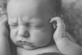 Laura Elaine Photography