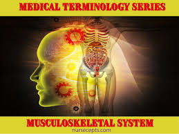 Medical Terminology Of The Musculoskeletal System Nursecepts