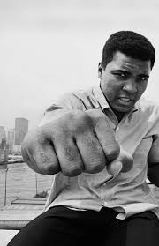 Float Like A Butterfly Sting Like A Bee перевод Float Like A Butterfly Sting Like A Bee Boks Duvar Kagidi Iphone Duvar Kagitlari