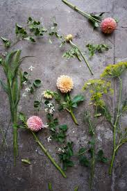 Is the merriwick flower real : Behind The Scenes With Amy Merrick Flowers Photography Flower Flat Lay Beautiful Flowers