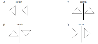 Pencerminan yang benar dari gambar trapesium di atas adalah. Pembahasan Soal Soal Tryout Matematika Sd Mi Th 2016 2017 Part 9 Bale Belajar Matematika