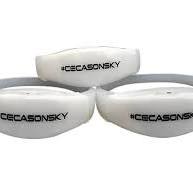 Custom Sound Activated LED Wristbands for Concerts (Xyloband ...