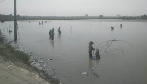 Pernah tangkap ikan pakai tangan tak?main lumpur?kena kayap,penat geng semua ni tapi seronok sangat sampai tak ingat yang aku ni dah beso tak macam dulu2 lagi hehehehe tulis banyak2 pon tak guna korang bukan baca sangat jom la kita layan vlog kali ya randuk gagau ikan di sawah padi. Warga Rebutan Ikan Di Sawah Kali Kalapa Radar Karawang