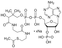 It is promoted as a preventive agent for cardiovascular diseases, parkinson's disease. Acetyl Coenzyme A Sodium Salt 93 Hplc Powder 102029 73 2