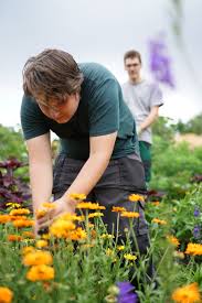 Dann bewirb dich für die ausbildung zur bzw. Berufsfeld Garten Und Landschaftsbau