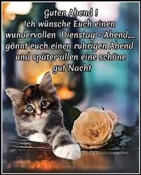 We did not find results for: Elchens Bilderwelt Zum Dienstag Abend Lustig Englnschid