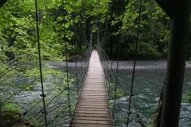 Apr 02, 2021 · grove of the patriarchs trail. Grove Of The Patriarchs Loop Silver Falls Loop Deer Creek Falls Washington Trails Association