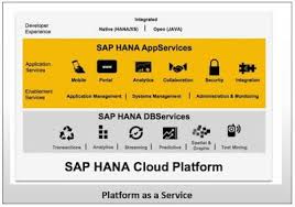 Sap Hana Cloud Platform Architecture Cloud Platform Sap Sas Software