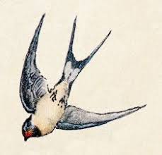 Swallow tattoo are designed for women which give a rich meaning. 502 Bad Gateway Swallow Bird Tattoos Swallow Tattoo Barn Swallow