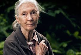 Kvinnorna som banar väg för en bättre miljö