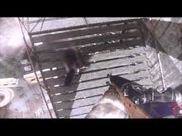 Go to the computer in . Call Of Duty Black Ops Ascension Glitch Ps3 Youtube