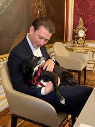 Um dem hund das bellen abzugewöhnen, müssen sie die ursachen kennen. Sebastian Kurz Beim Letzten Austausch Mit Bundesprasident Alexander Van Der Bellen Hat Uns Ein Spontaner Gast Uberrascht Seine Hundin Juli Facebook