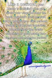 Finding Yourself Peacock Quotes Peacock Beauty Quotes