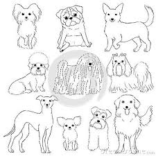 Group Of Ten Breeds Of Small Dogs Hand Drawn Line Art Dog Line Art Dog Illustration Art Cute Dog Drawing