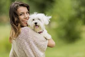 Gather a section of your hair from one side and start making a braid. 50 Cutest Dogs With Brilliant Haircuts Hairstylecamp