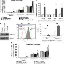 Gatapop damaris santra.part7.rar mega.co.nz, file size: Temporal Spatial And Cellular Profiles Of Gata4 In The Human Central Download Table
