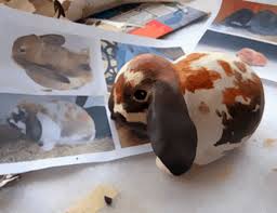 It's to keep the card stock from getting wet when. How To Make A Paper Mache Bunny Sculpture